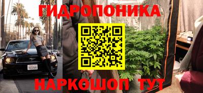 стаф Будённовск