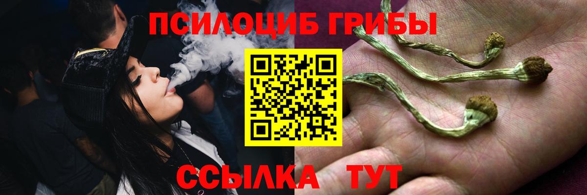 Галлюциногенные грибы Cubensis  Псилоцибиновые грибы Psilocybine cubensis  Энгельс  Вход с VPN 